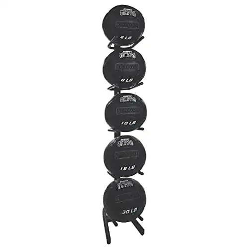 Champion Sports U-Ring Single Medicine Ball Storage Tree Stand Rack